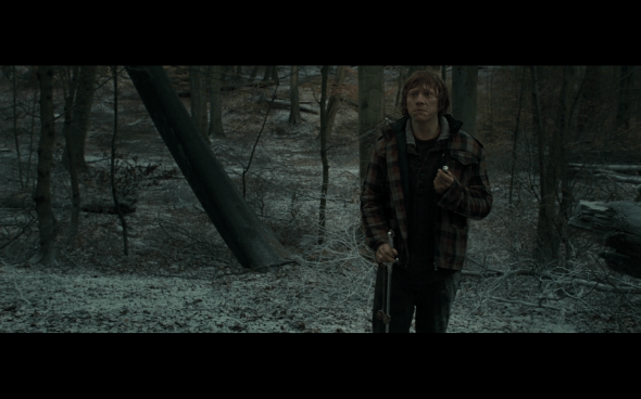 Harry Potter and the Deathly Hallows Part 1 - 966