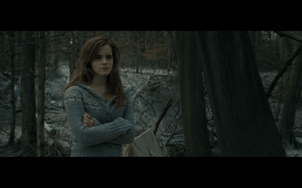 Harry Potter and the Deathly Hallows Part 1 - 967