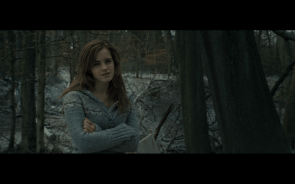 Harry Potter and the Deathly Hallows Part 1 - 968