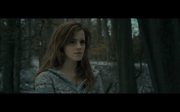 Harry Potter and the Deathly Hallows Part 1 - 970