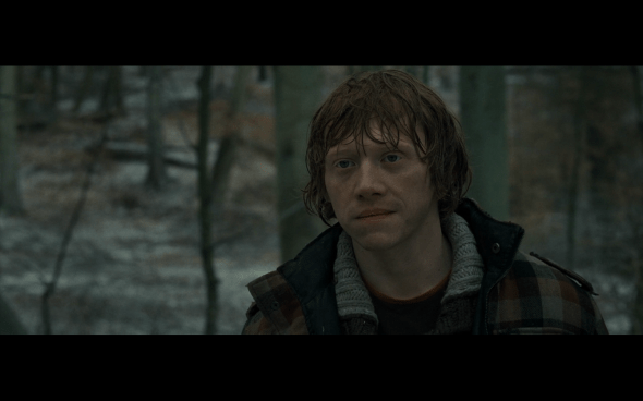 Harry Potter and the Deathly Hallows Part 1 - 973