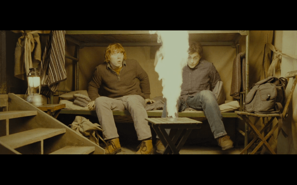 Harry Potter and the Deathly Hallows Part 1 - 980