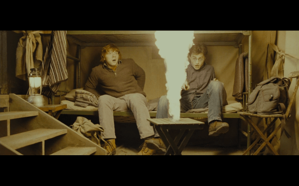 Harry Potter and the Deathly Hallows Part 1 - 981