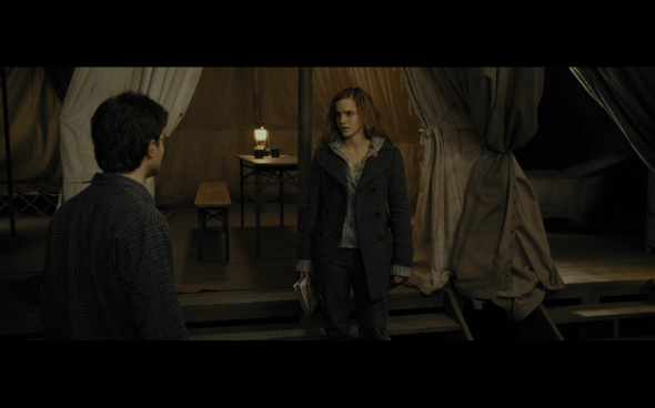 Harry Potter and the Deathly Hallows Part 1 - 985