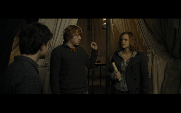 Harry Potter and the Deathly Hallows Part 1 - 990