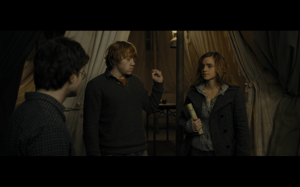 Harry Potter and the Deathly Hallows Part 1 - 991