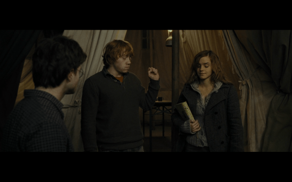 Harry Potter and the Deathly Hallows Part 1 - 992