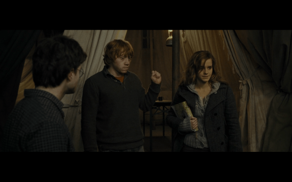 Harry Potter and the Deathly Hallows Part 1 - 993