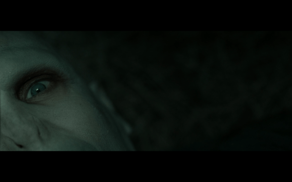 Harry Potter and the Deathly Hallows Part 2 - 1013