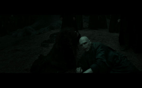 Harry Potter and the Deathly Hallows Part 2 - 1014