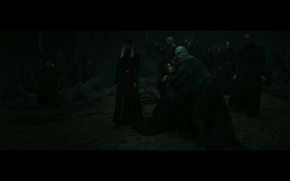 Harry Potter and the Deathly Hallows Part 2 - 1015