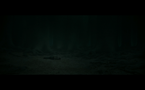 Harry Potter and the Deathly Hallows Part 2 - 1017