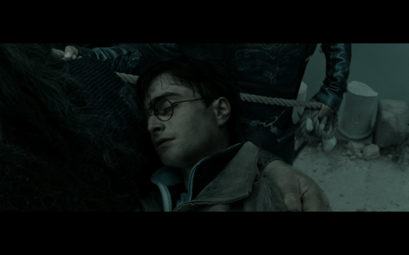 Harry Potter and the Deathly Hallows Part 2 - 1029