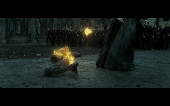 Harry Potter and the Deathly Hallows Part 2 - 1098