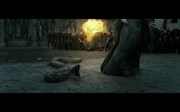 Harry Potter and the Deathly Hallows Part 2 - 1099