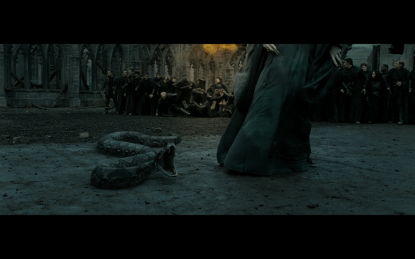 Harry Potter and the Deathly Hallows Part 2 - 1100