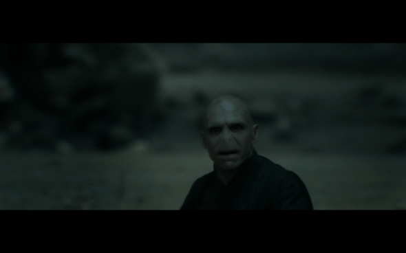 Harry Potter and the Deathly Hallows Part 2 - 1133