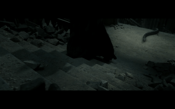Harry Potter and the Deathly Hallows Part 2 - 1140