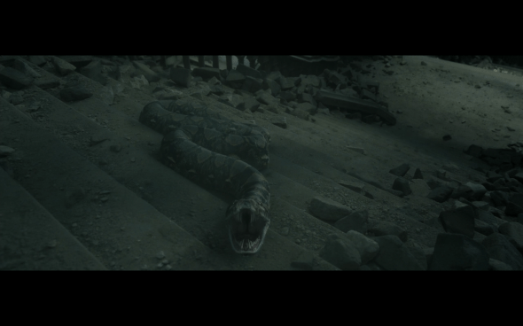 Harry Potter and the Deathly Hallows Part 2 - 1158