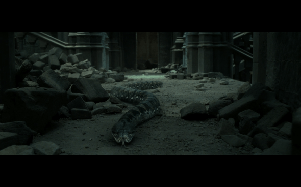 Harry Potter and the Deathly Hallows Part 2 - 1172