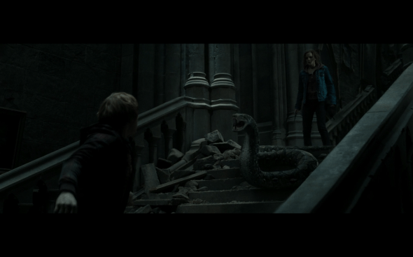 Harry Potter and the Deathly Hallows Part 2 - 1196