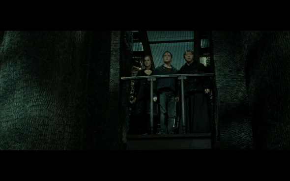 Harry Potter and the Deathly Hallows Part 2 - 123