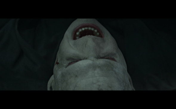 Harry Potter and the Deathly Hallows Part 2 - 1248