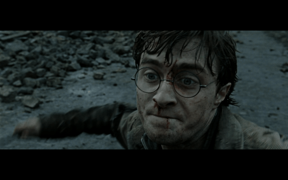 Harry Potter and the Deathly Hallows Part 2 - 1297