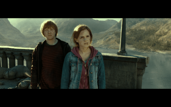 Harry Potter and the Deathly Hallows Part 2 - 1341