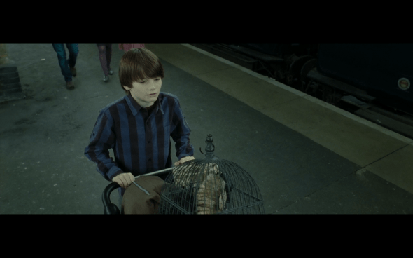 Harry Potter and the Deathly Hallows Part 2 - 1363