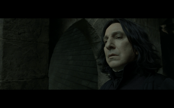 Harry Potter and the Deathly Hallows Part 2 - 14