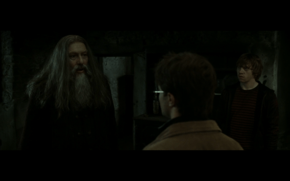 Harry Potter and the Deathly Hallows Part 2 - 198