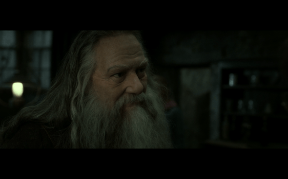 Harry Potter and the Deathly Hallows Part 2 - 200