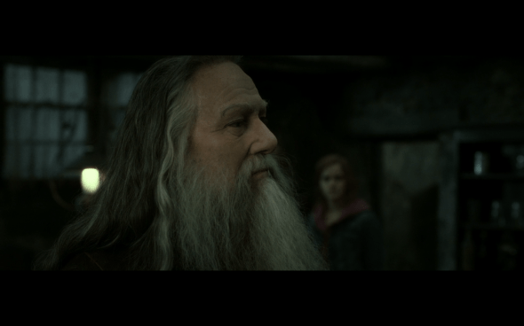 Harry Potter and the Deathly Hallows Part 2 - 202