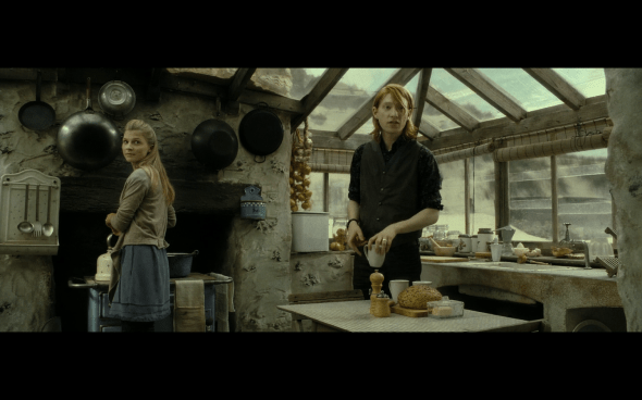 Harry Potter and the Deathly Hallows Part 2 - 21