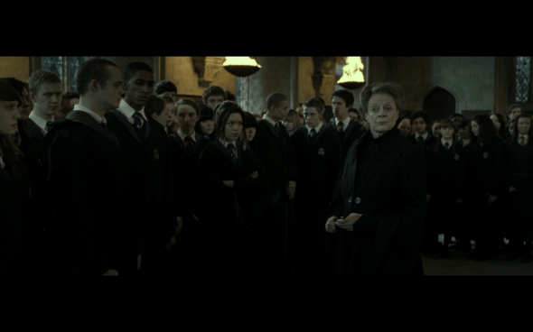 Harry Potter and the Deathly Hallows Part 2 - 300