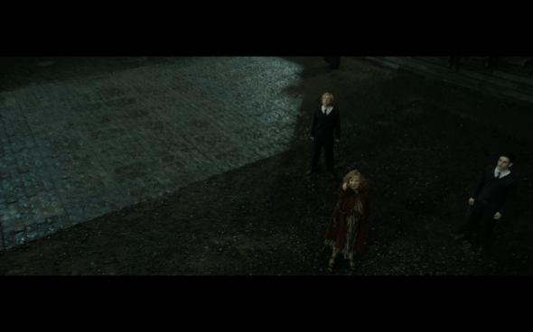 Harry Potter and the Deathly Hallows Part 2 - 345