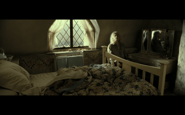Harry Potter and the Deathly Hallows Part 2 - 37