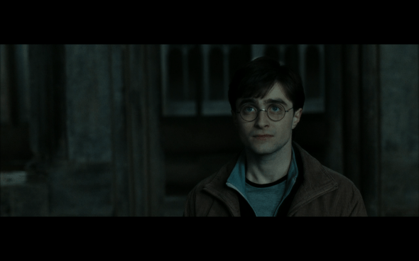 Harry Potter and the Deathly Hallows Part 2 - 382