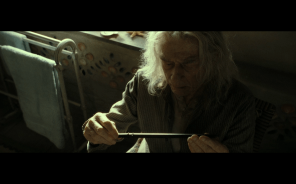 Harry Potter and the Deathly Hallows Part 2 - 42