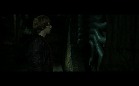 Harry Potter and the Deathly Hallows Part 2 - 423