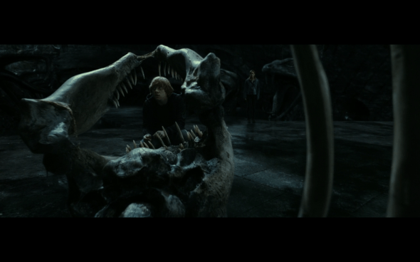 Harry Potter and the Deathly Hallows Part 2 - 446