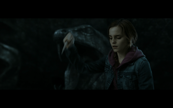 Harry Potter and the Deathly Hallows Part 2 - 449