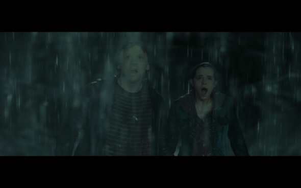 Harry Potter and the Deathly Hallows Part 2 - 460