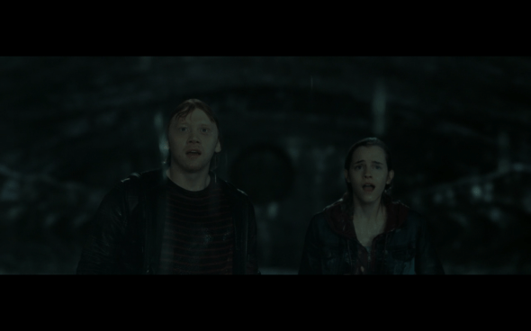 Harry Potter and the Deathly Hallows Part 2 - 461