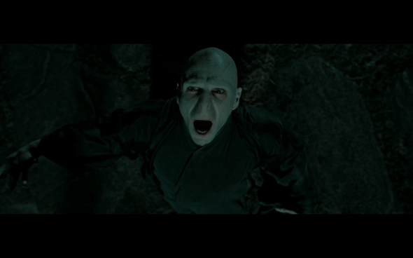 Harry Potter and the Deathly Hallows Part 2 - 462