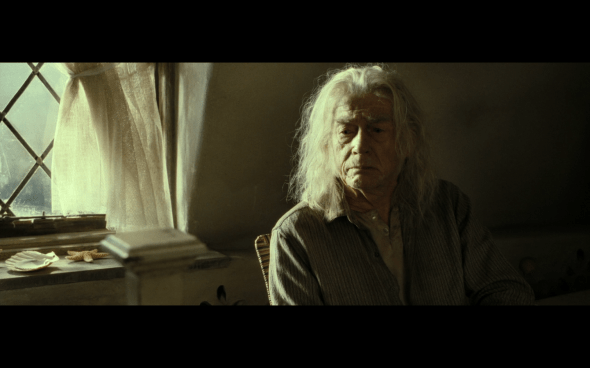 Harry Potter and the Deathly Hallows Part 2 - 47