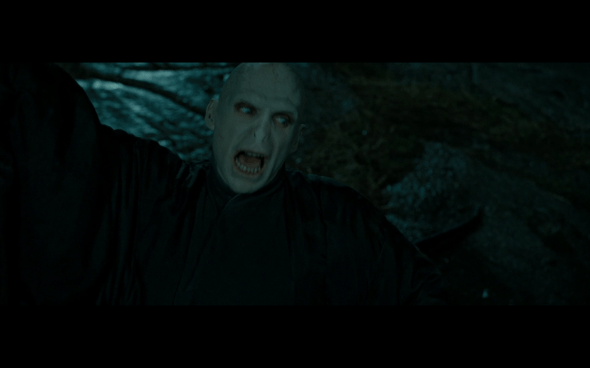 Harry Potter and the Deathly Hallows Part 2 - 472