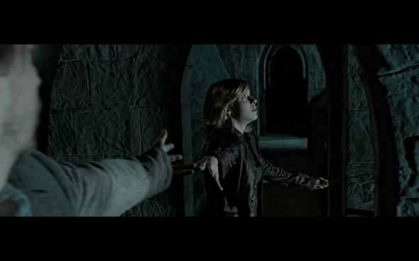 Harry Potter and the Deathly Hallows Part 2 - 481