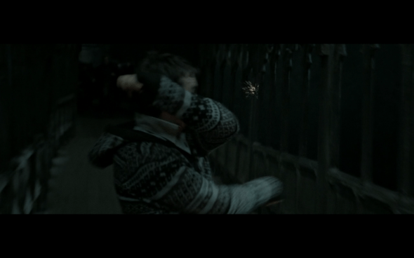 Harry Potter and the Deathly Hallows Part 2 - 495